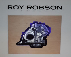 roy Robson logo