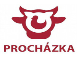 Reference Prochazka